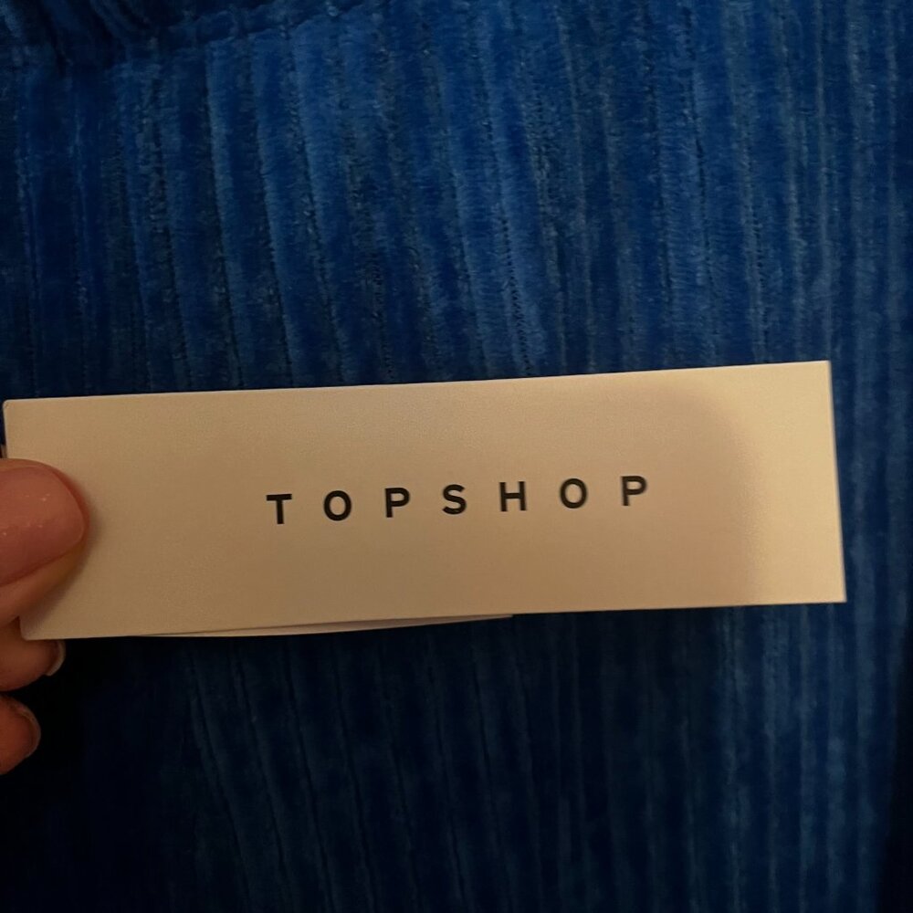 TOPSHOP/ASOS Ribbed Leg, Velour-Like Pants, Royal Blue / Size 6 - Picture 3 of 10